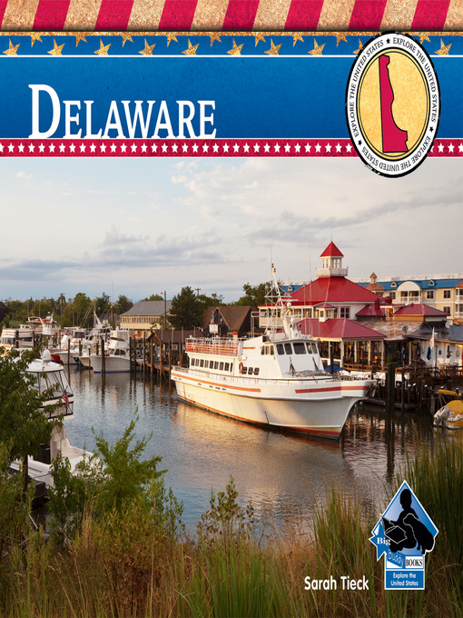 Title details for Delaware by Sarah Tieck - Available